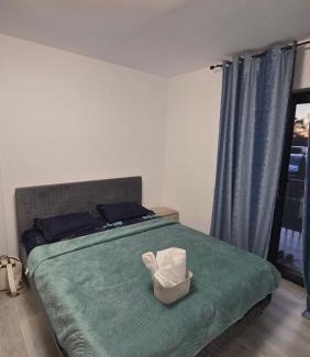 Vladeni Apartment | Casa Teo&Flo Brașov!