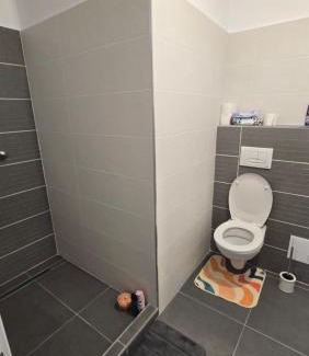 Vladeni Apartment | Casa Teo&Flo Brașov!
