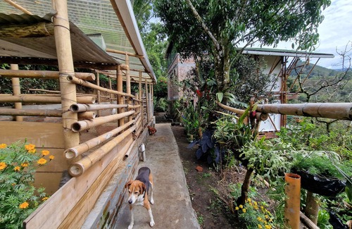 Salento Cabin | Casa Tien
