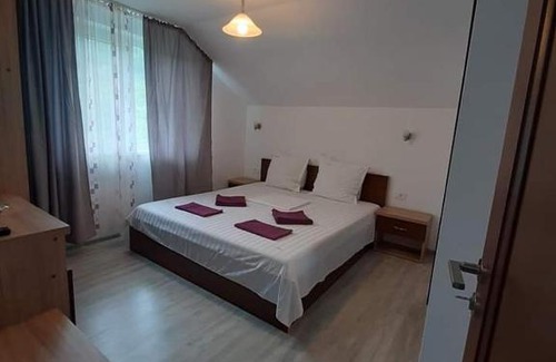 Calimanesti House | Casa Trache