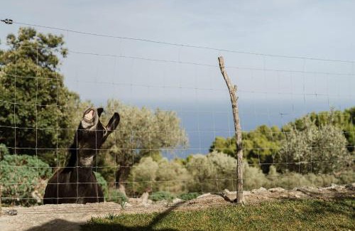 Valldemossa House | Casa Tramuntana