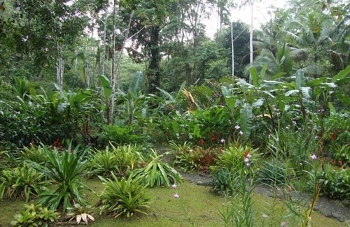Limon House | Casa Tres Monos- Stunning Garden/Beach Wildlife Viewing