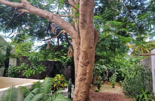 La Boca House | Casa Tulum