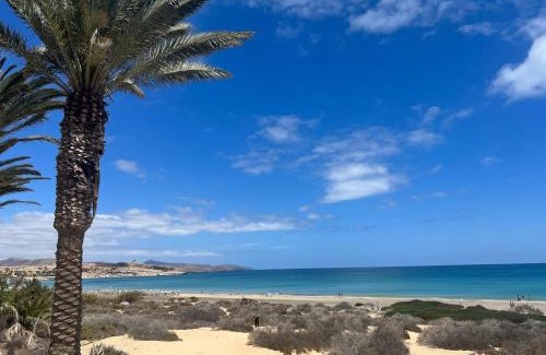 Bahia Calma Apartment | Casa Ucraniana Wi-Fi fibra