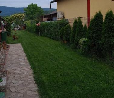 Olteni House | Casa Ursului
