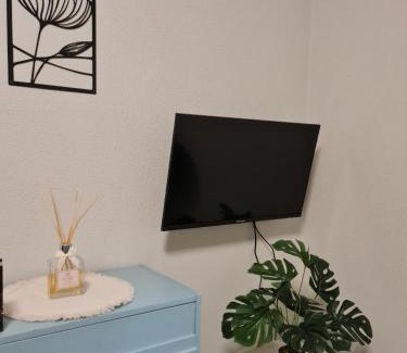 Nichelino House | casa vacanza il tulipano