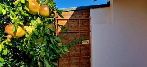 Sant'Anna Arresi Apartment | Casa vacanza Mamaioa