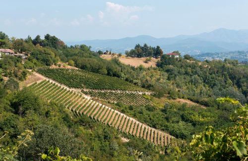 Rocca Grimalda Apartment | Casa Vacanza Tra Vigneti E Mura