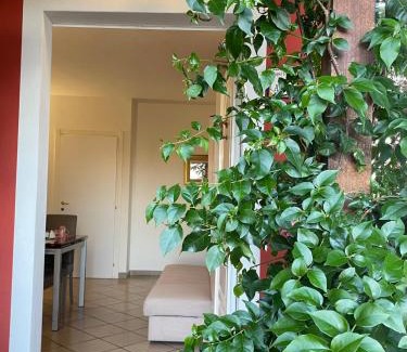 Bevagna Apartment | Casa vacanze Castellara