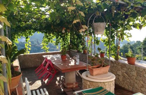Vico del Gargano Cabin | CASA VACANZE " da Giu' "