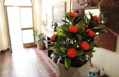 Camporgiano Apartment | Casa vacanze da Marì