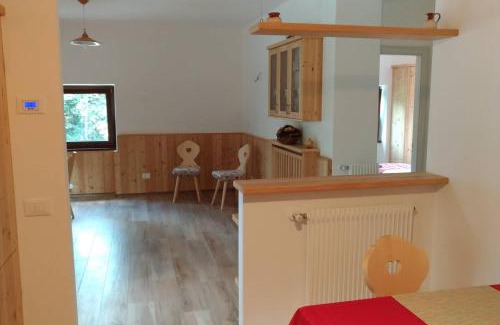 Baselga di Pine House | Casa vacanze Insieme