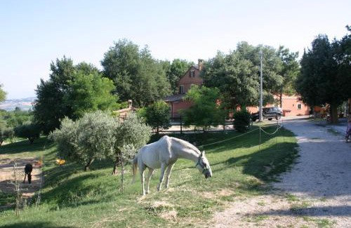 Serrungarina House | Casa Vacanze La Meridiana