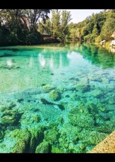 Le Marmore Apartment | Casa Vacanze Le Cascate