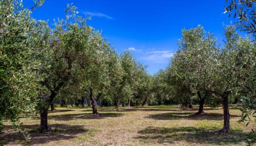 Ortona House | Casa Vacanze Punta Ferruccio
