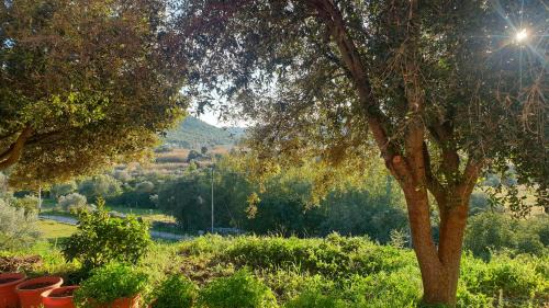 Teulada House | casa vacanze sa perda scritta
