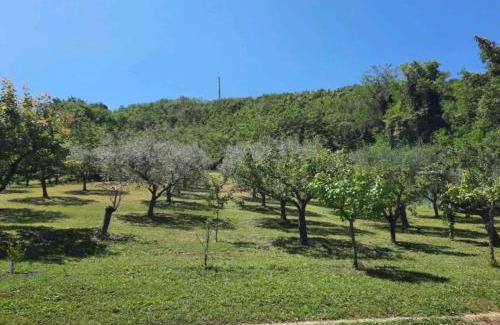 Fano House | Casa Vacanze Stefania