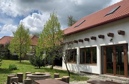 Sinteu Villa | Casa Vatra Sinteului - Cu sala de evenimente de capacitate mare - Se inchiriaza integral