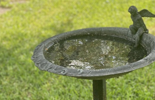 Covington House | Casa Verde ~ Peaceful Country Setting, 1 mile from downtown Covington