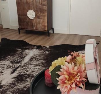 Viana do Castelo Apartment | Casa Viela Cega