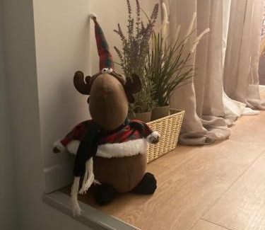 Grosseto Apartment | Casa Viola