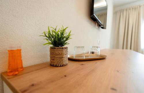 Bocicoiu Mare Apartment | Casa Vlad