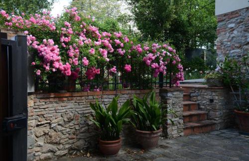 Monsummano Terme House | Casa1