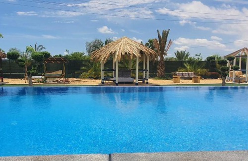 Elche House | casadelfenix