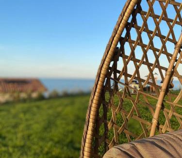 Pineto Bed & Breakfast | Casale Adriatico B&B