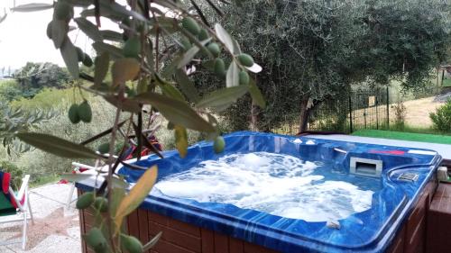 Mombaroccio House | Casale Ariella Patricio