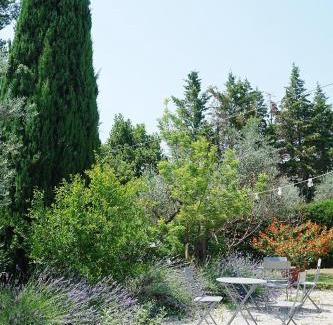 Citta Sant'Angelo Bed & Breakfast | Casale delle Lavande