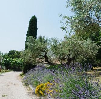 Citta Sant'Angelo Bed & Breakfast | Casale delle Lavande