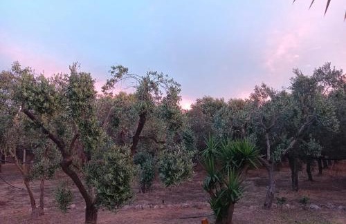 L'Assunta Villa | Casale Eucalipto