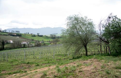 Matelica House | Casale Godenza