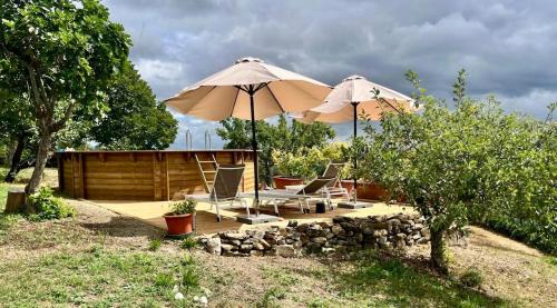 Umbertide Villa | Casale in collina immerso nel verde con Piscina e ampio giardino