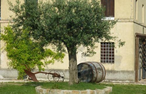 Santa Vittoria in Matenano Villa | Casale Oliva in a landscape of oaks, olive e cherry trees