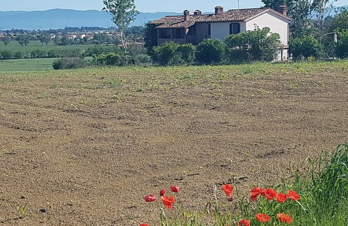 Panicale Villa | Casale Rosie' 3 BEDROOMS + 4 FULL BATHROOMS + WIFI + PRIVATE POOL