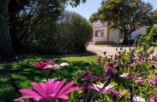 Aldeia do Meco Ski Chalet | Casas das Amoreiras