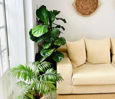 Vendas Novas Villa | Casas das Piçarras - Alentejo