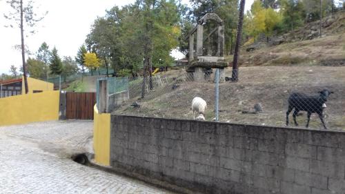 Tuias House | Casas de Canavezes