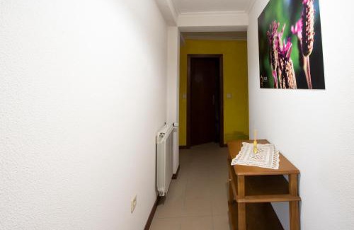 Gouveia Apartment | Casas do Flor