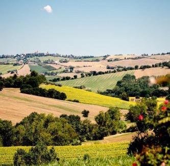 Ostra Vetere Bed & Breakfast | CasaVostra - Ambience Suites