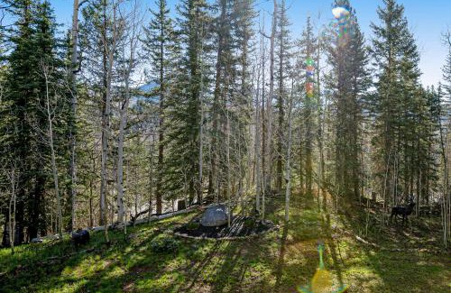 Purgatory Apartment | Cascade 347