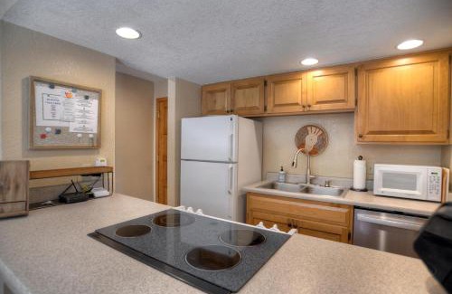 Purgatory House | Cascade Village 311