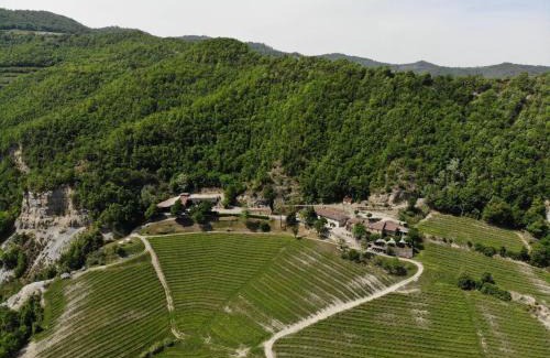 Spigno Monferrato House | Cascina Bertolotto Wine Resort