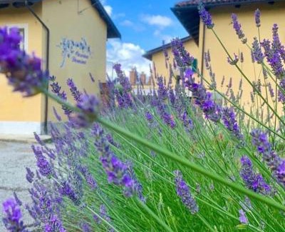 Gassino Torinese Hotel | CASCINA DOMINA