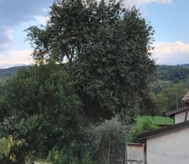 Mombasiglio House | Cascina Nuova