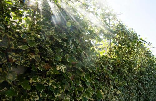 Pregnana Milanese Bed & Breakfast | Cascina36 B&B