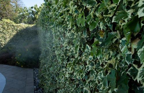 Pregnana Milanese Bed & Breakfast | Cascina36 B&B