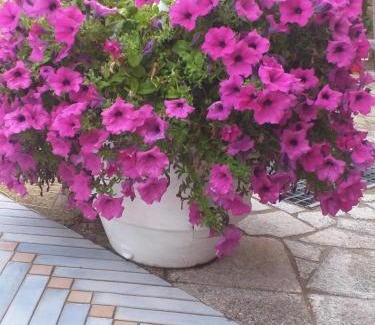 La Conia House | Case Vacanze La Conia